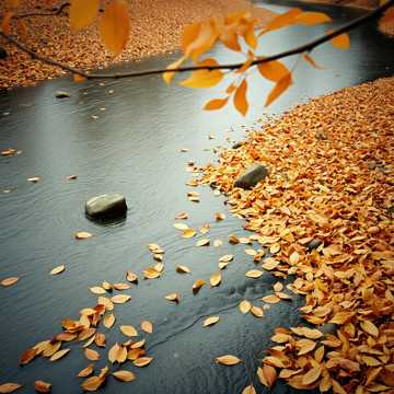 Glass River
