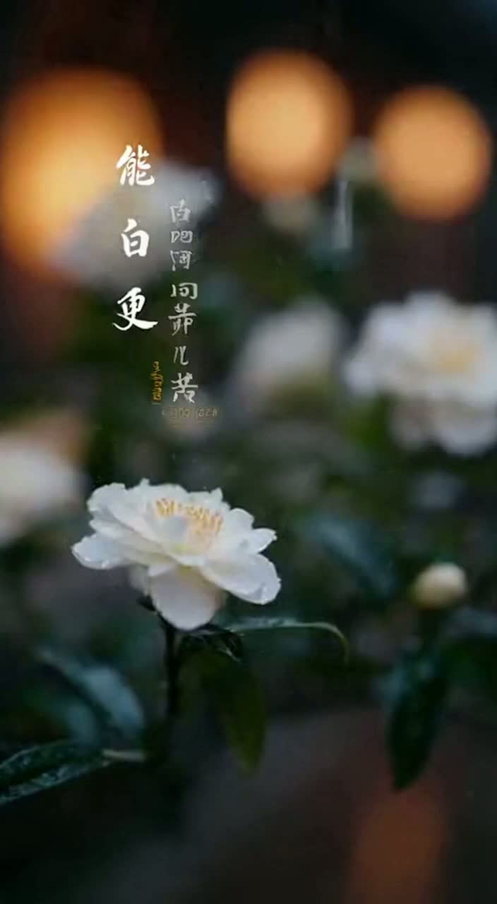 《寸心之香》粵語版