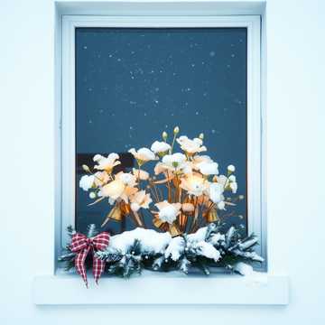 Snow Glow KV12