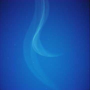 밤의 끝에서(At the Edge of the Night)
