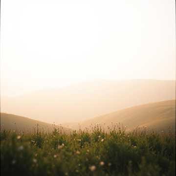 あたたかいもの優しいもの美しいもの —Warm, Gentle and Beautiful only—