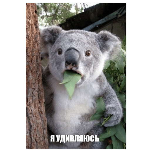 Я удивляюсь / I'm surprised