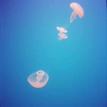Into The Deep (Ibiza Trumpet Mix) (Cover)