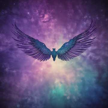 On Broken Wings (Cover Fr V2)