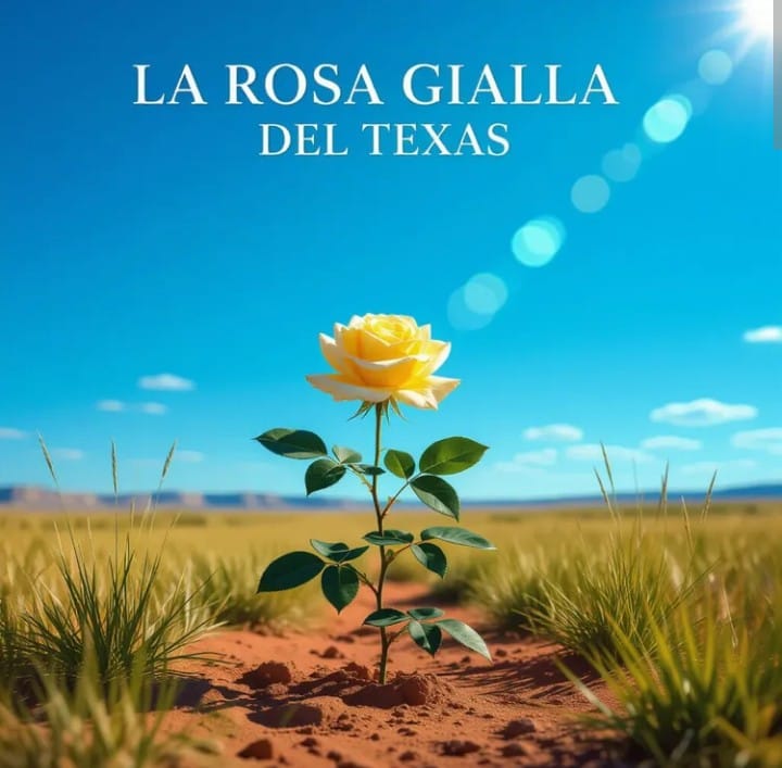 ✨La Rosa Gialla Del Texas / The Yello✨😊🎩🪄💫✨by LfRemix64  (1x)