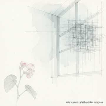 What the Window Remembers
