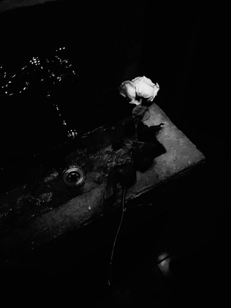 Head of the Dead