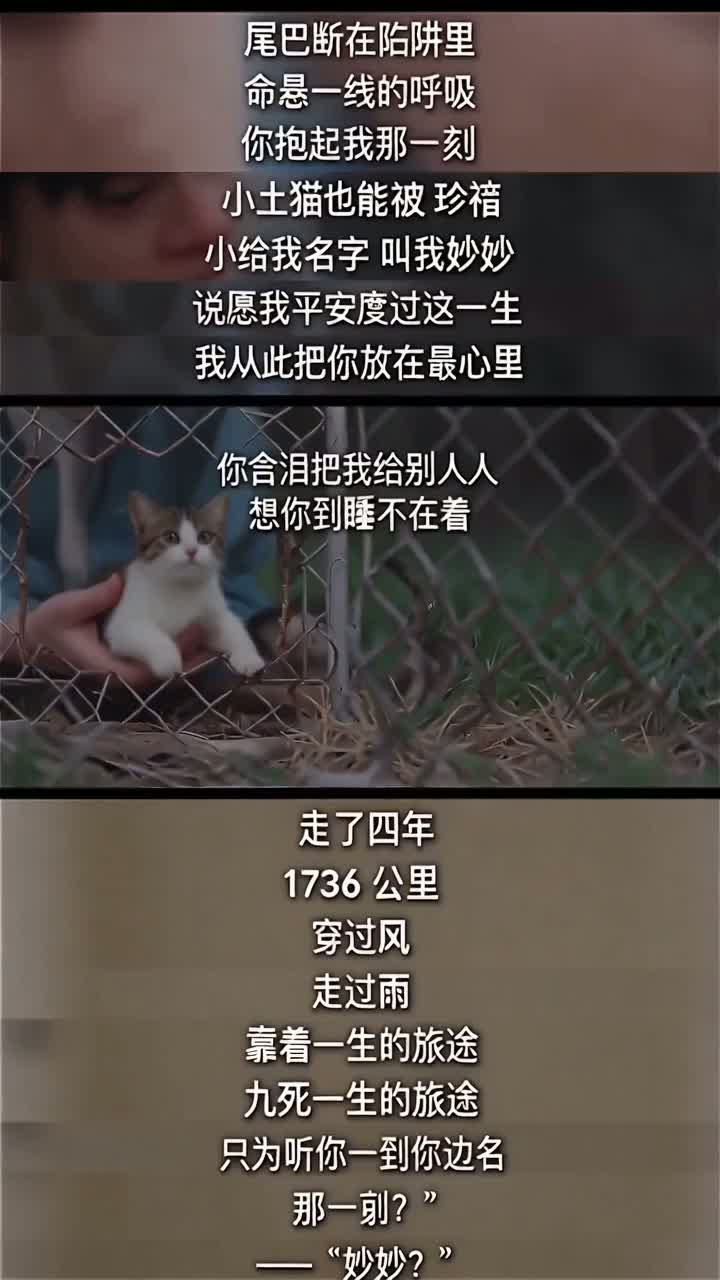 妙妙想家...
