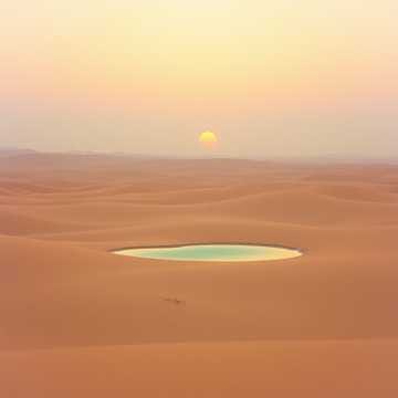 (همسات الريح... فوق الرمال...)