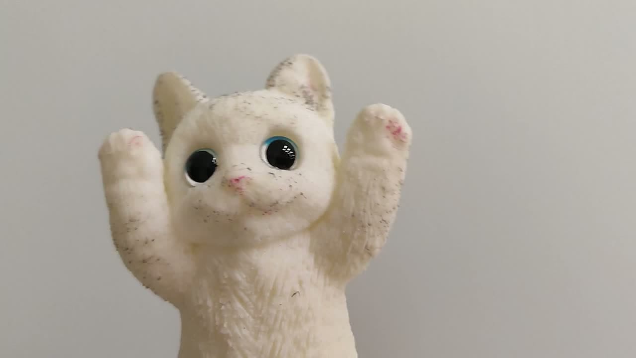 Мау/Meow