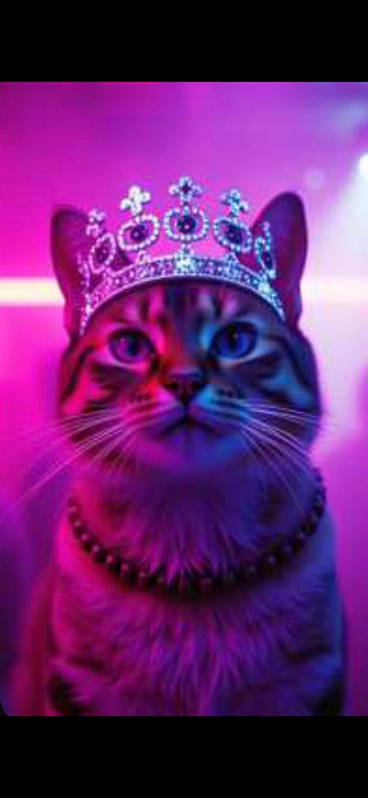 ♡Shine Loud♡ 