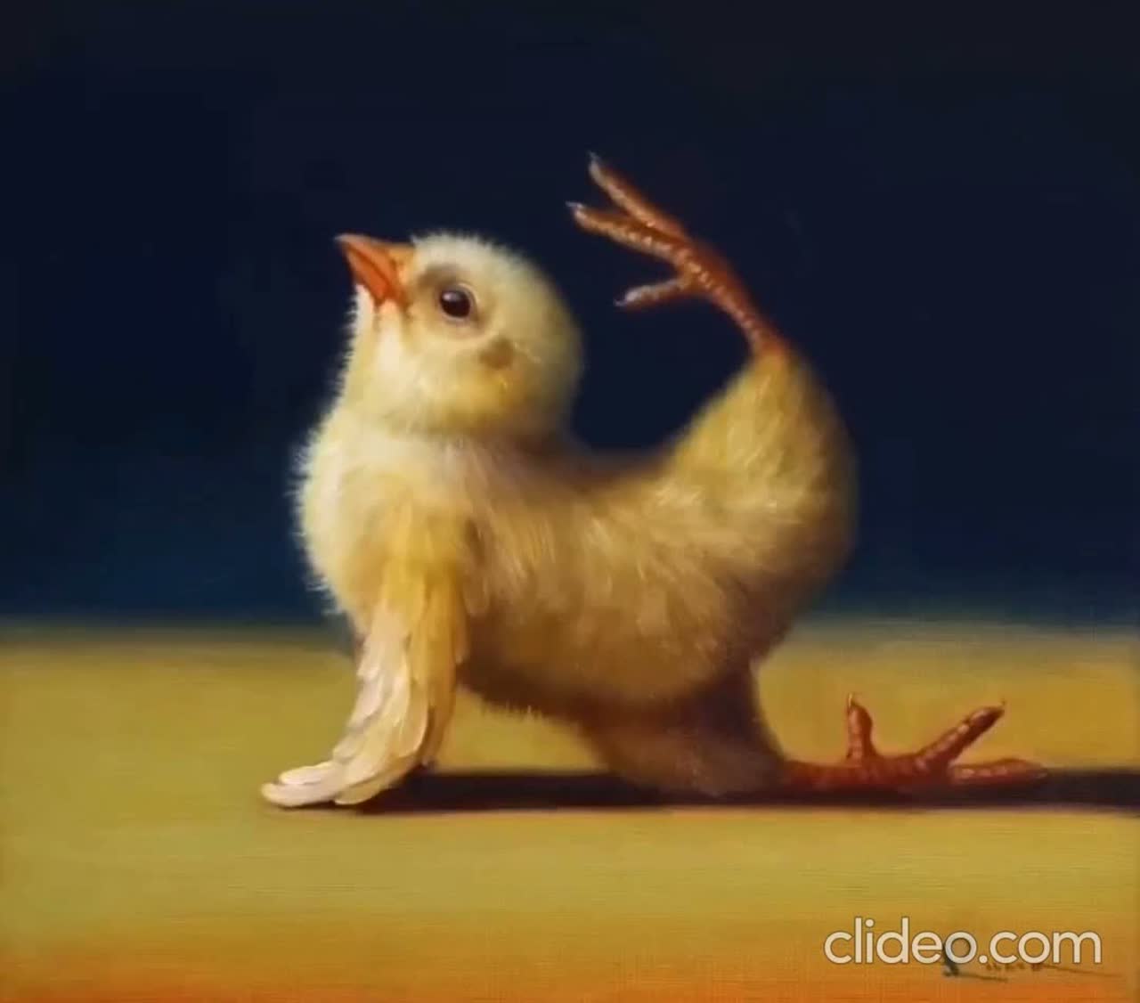 Little chicken, little chicken, (Cover)