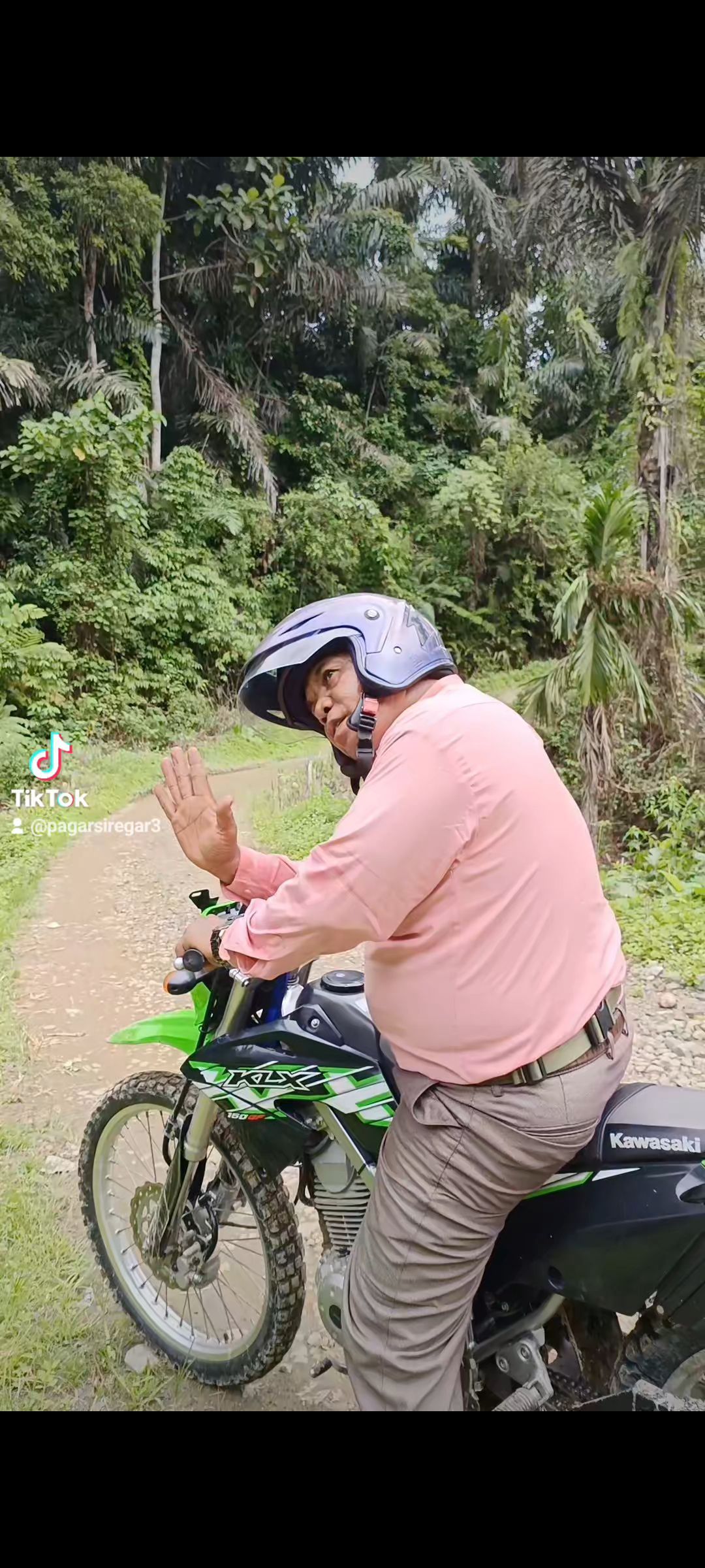 BURUNG TAU PULANG