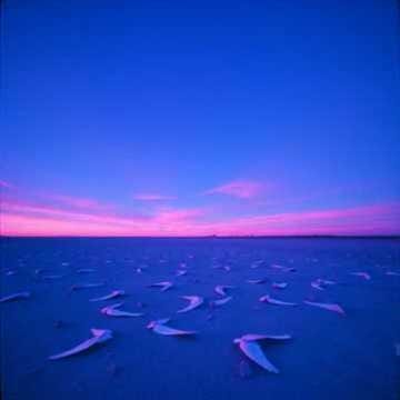 ✞Seven-Colored Sky