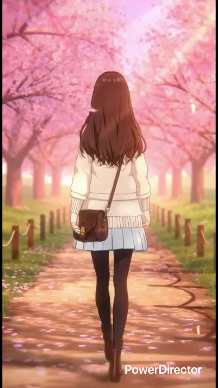 ▶️SEasoNAl Light