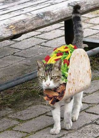 Tasty Mexican Food (Cover)