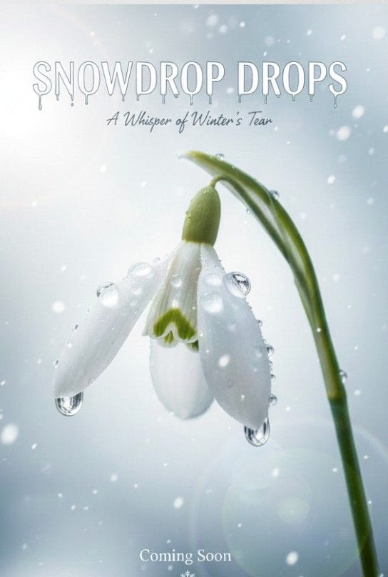 雪の雫 (Yuki no Shizuku)