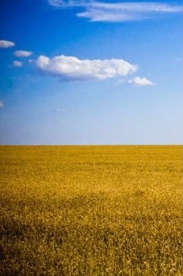 Тому що ми – українці (Автор вірша: Борис Базима. Переспів)