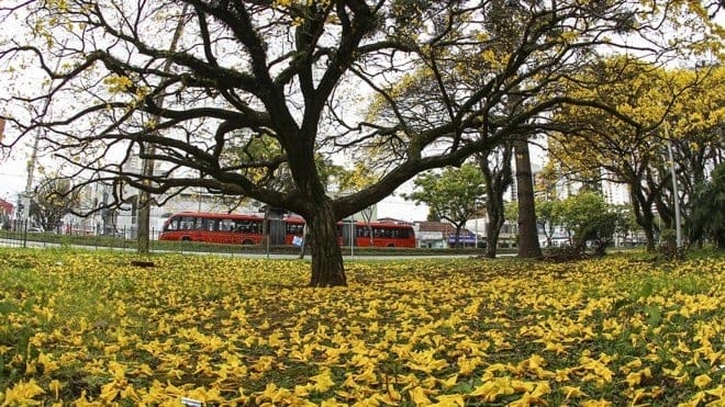 Estações