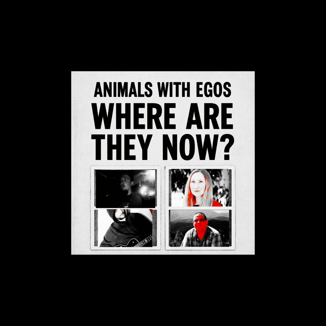 Where Are They Now?