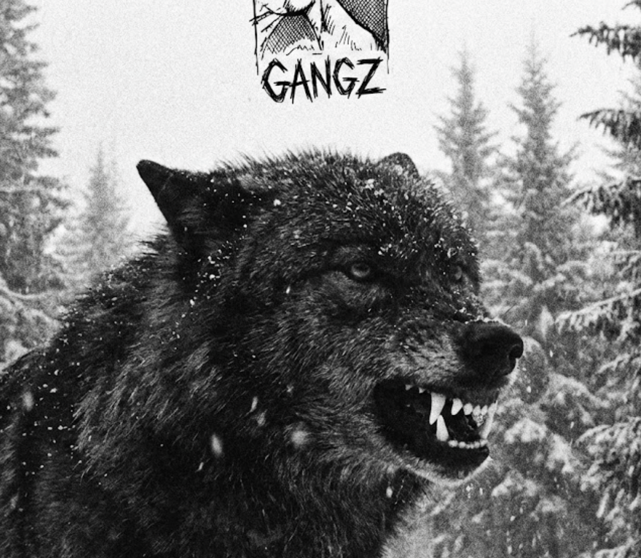 "Gangz"