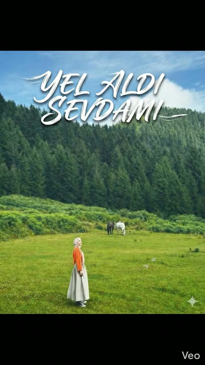 Yel Aldı Sevdamı