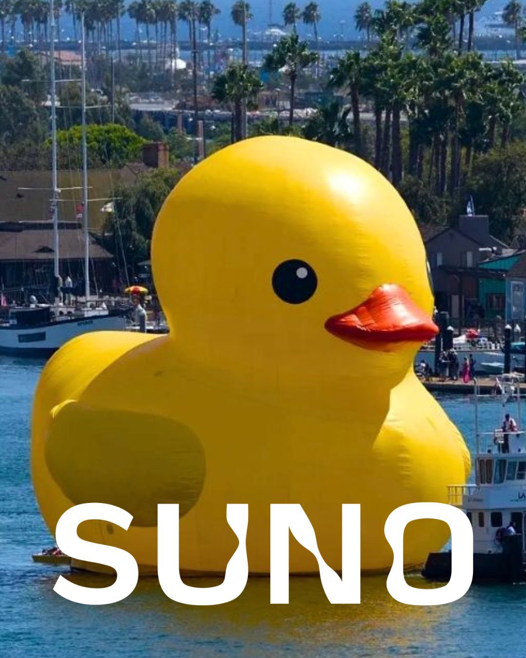 Veinte