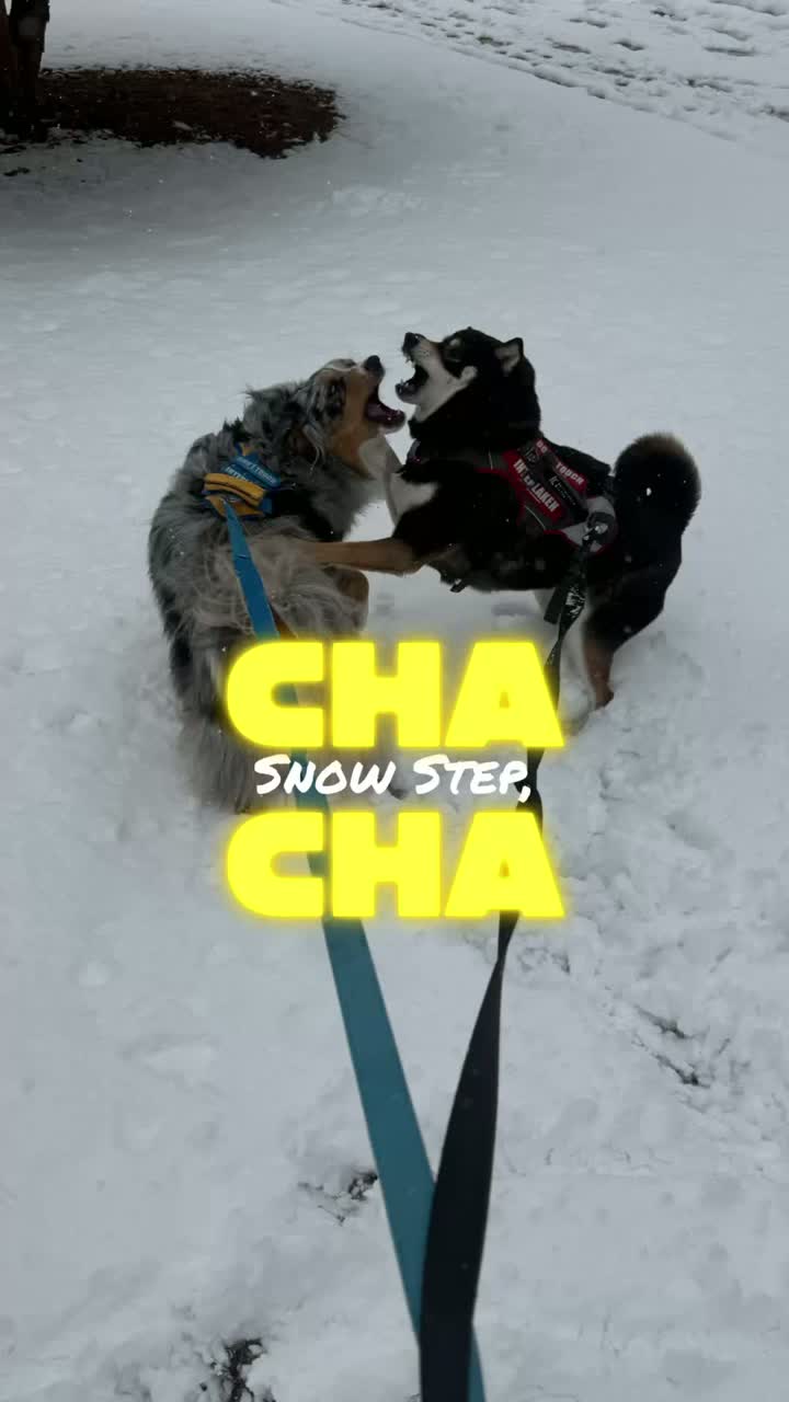 Snow Step, Cha-Cha