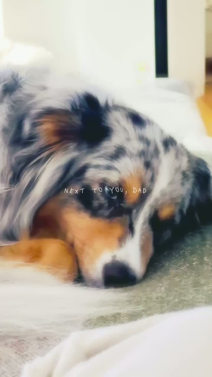 Next to You, Dad