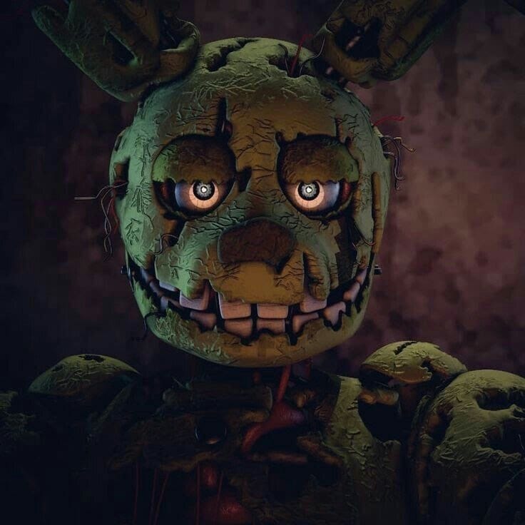 D.O.A.