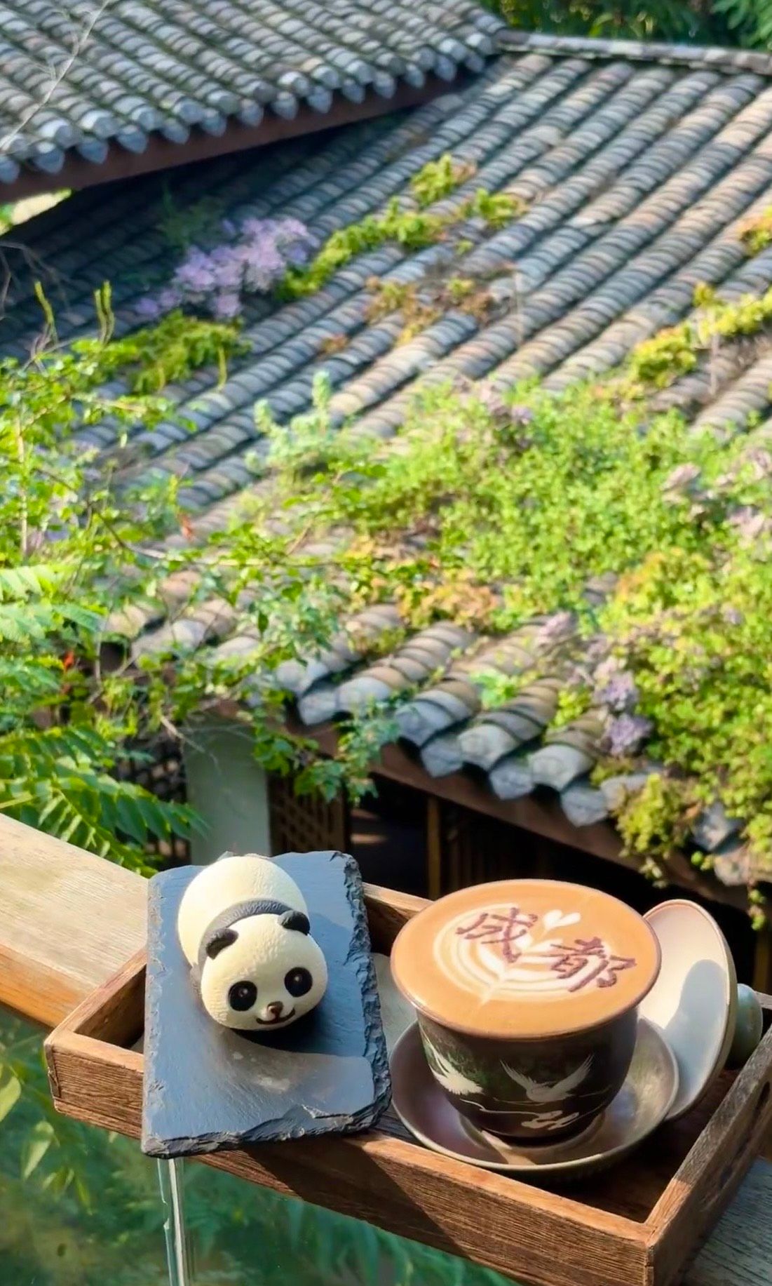 成都啊成都（Cheng Du）