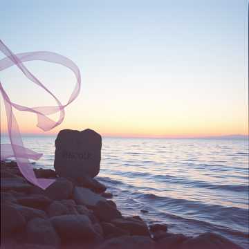 Love Forever