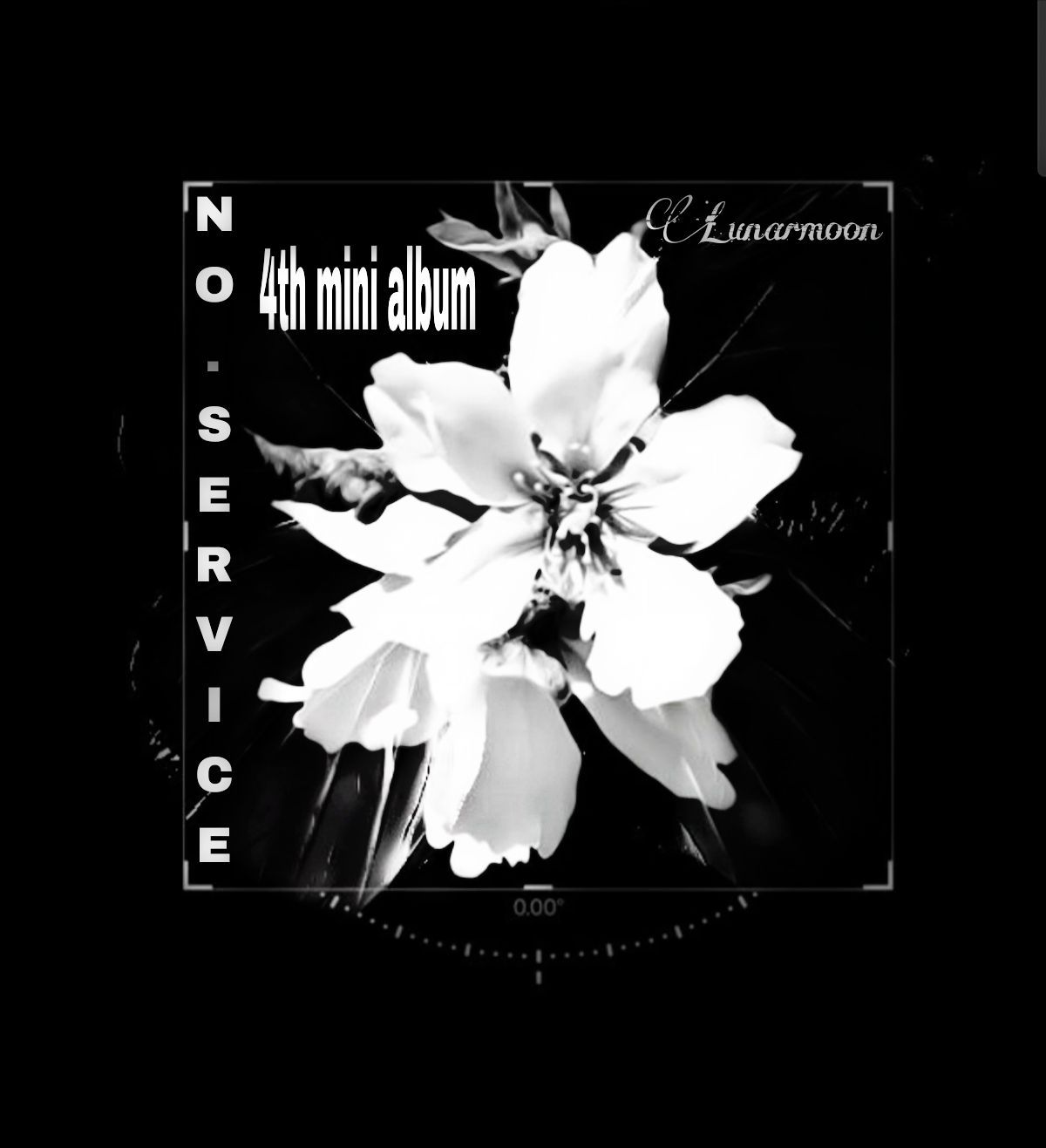 THE ROSE
