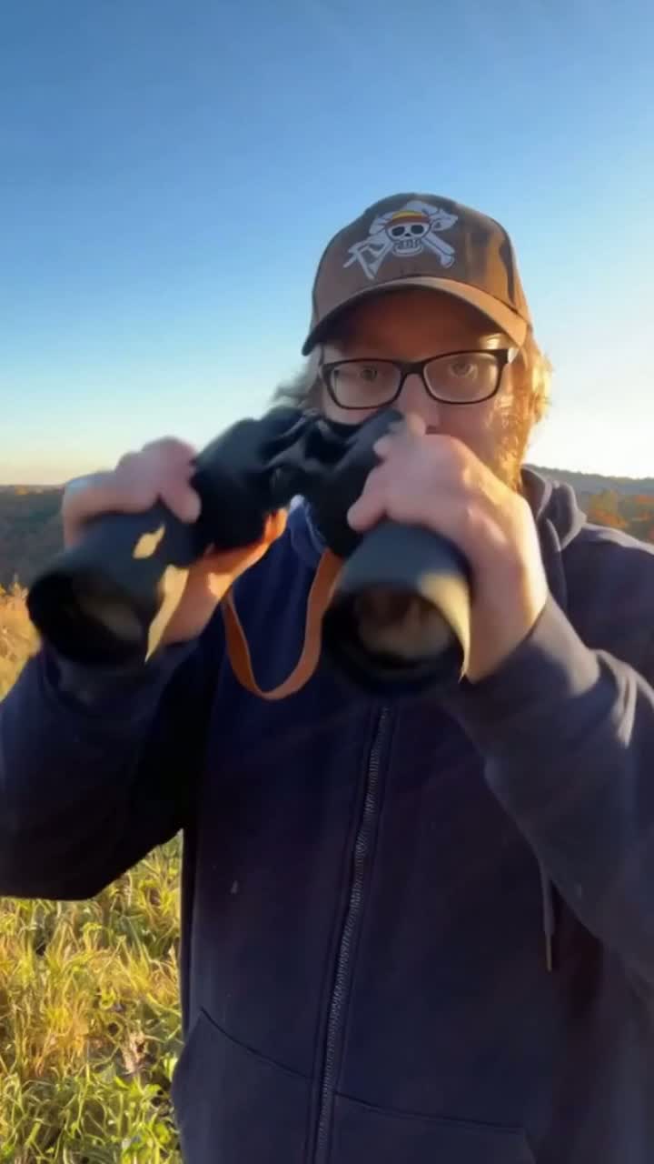 Look Into Me