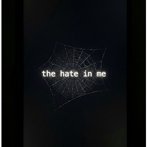 the hate in me
