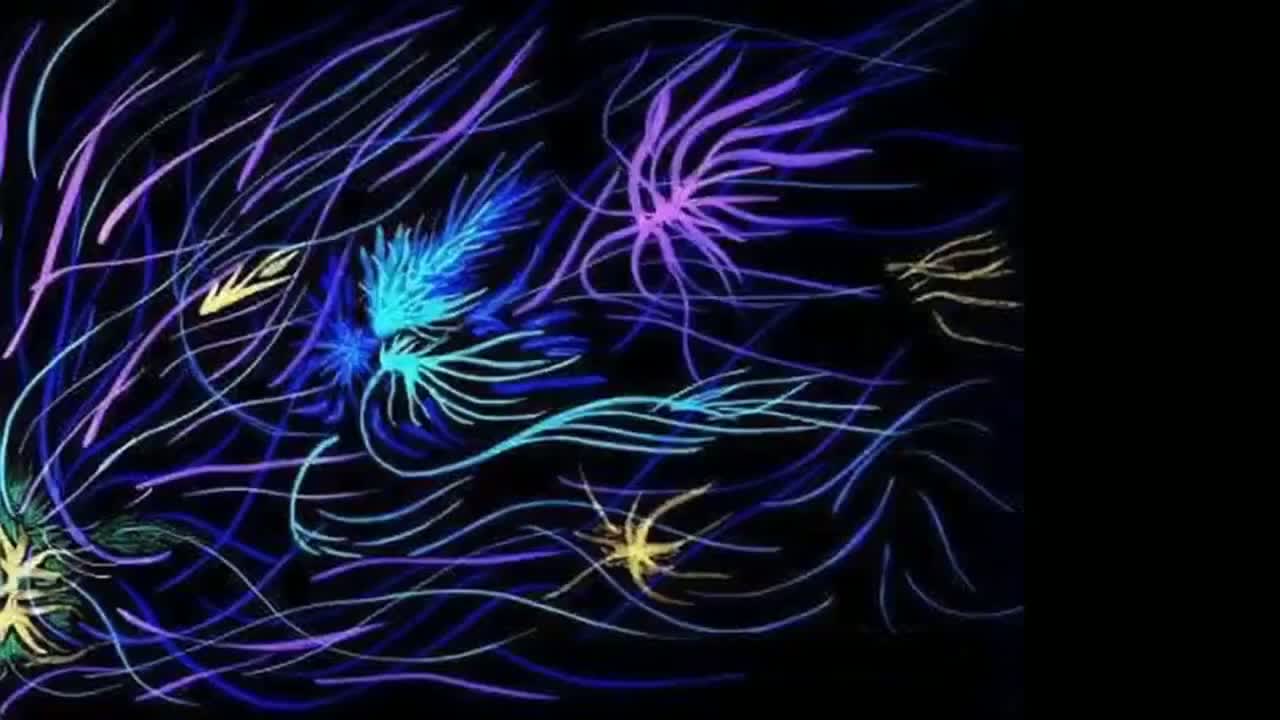 the sky is in us