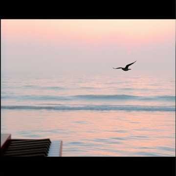 Limits of Freedom
