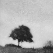 Letter to Sunrise