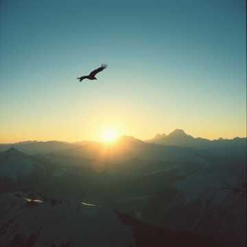 Vuelo del Espiritu