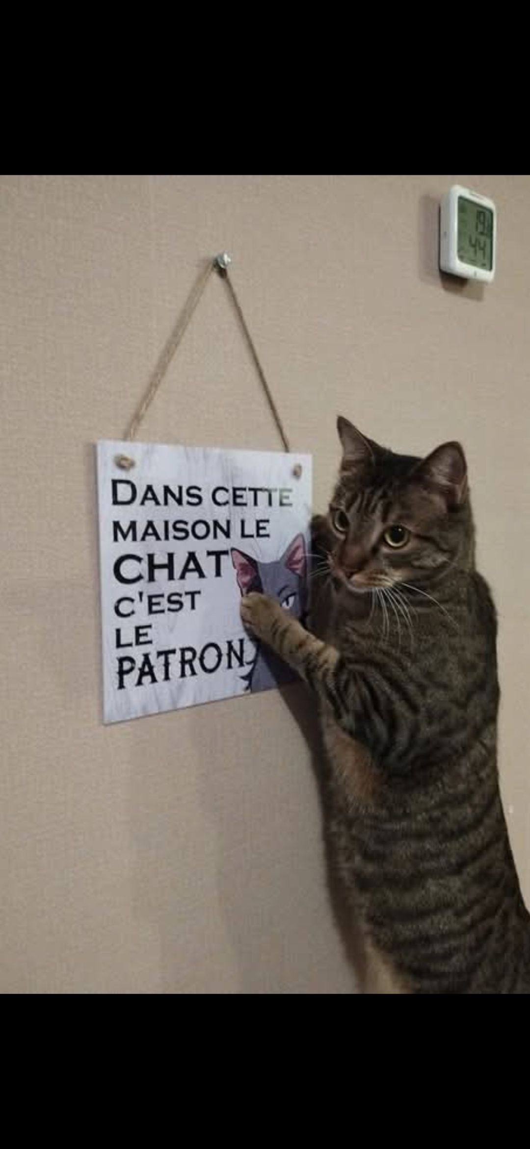 ❤️🔥🔥🔥Chat alors🔥🔥🔥 ❤️