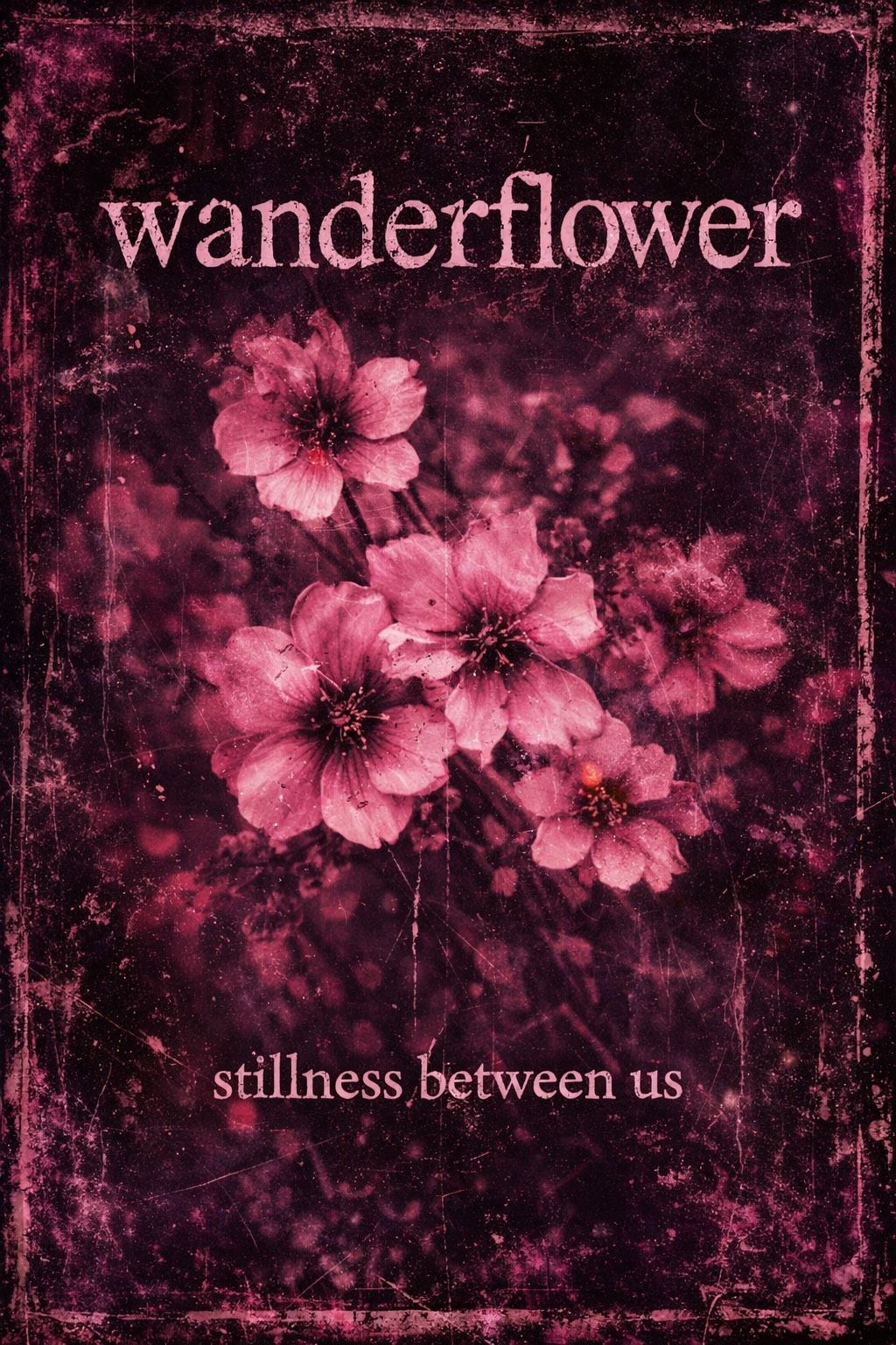 Stillness Between Us (everpop COVER) - Wanderflower🌸