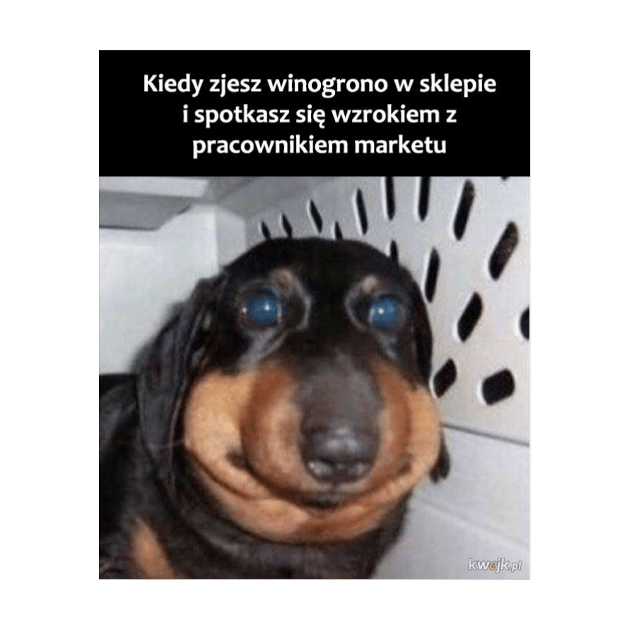 TUFF jamnik