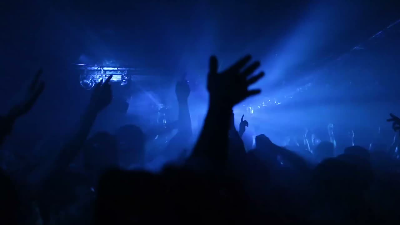 Feel the Beat