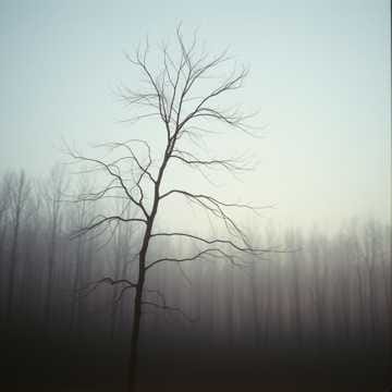 détendu, dénoué, redevenu arbre