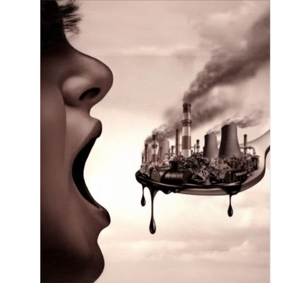 Экоцид(Ecocide)
