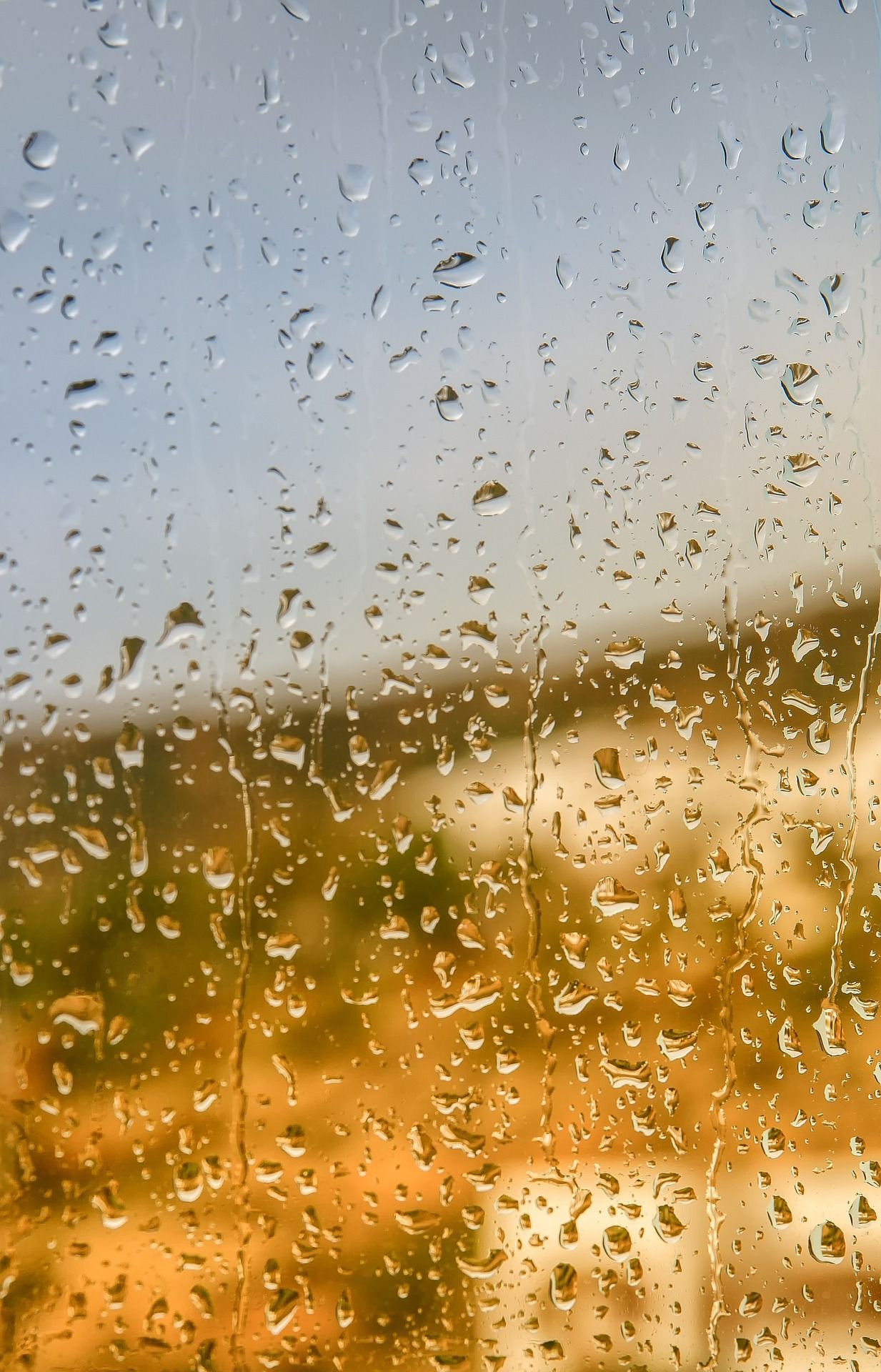 Komm wir Tanz durch den Regen