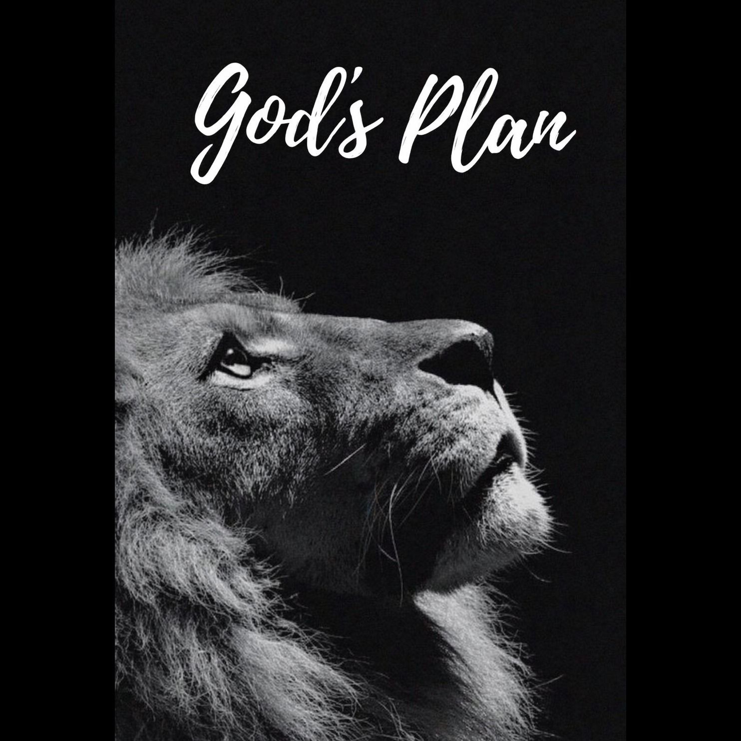 God's Plan