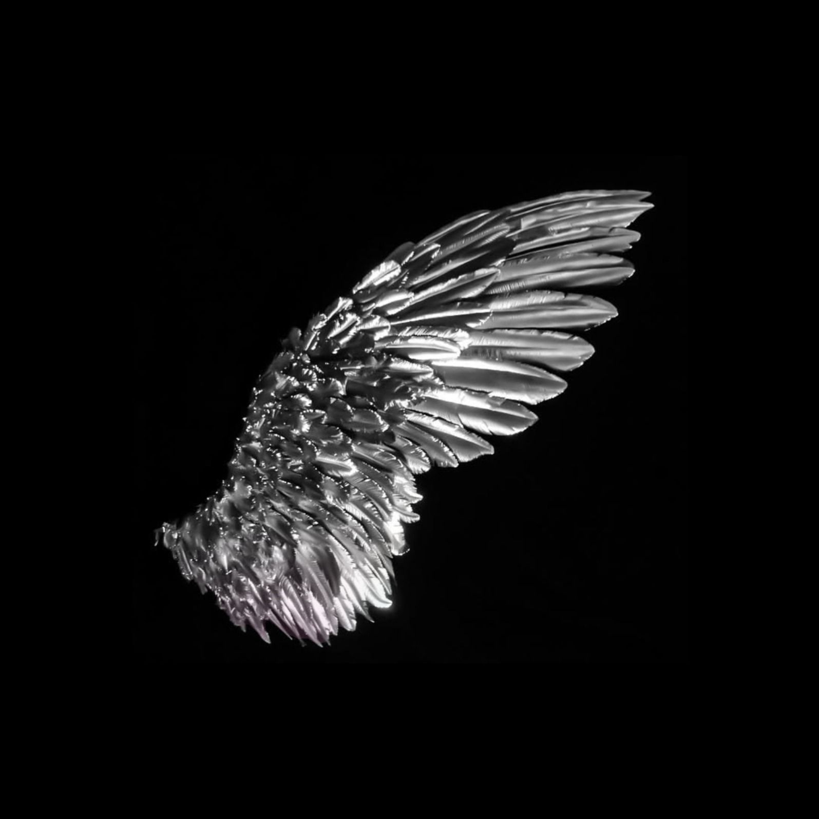 Fly, Fly, Fly