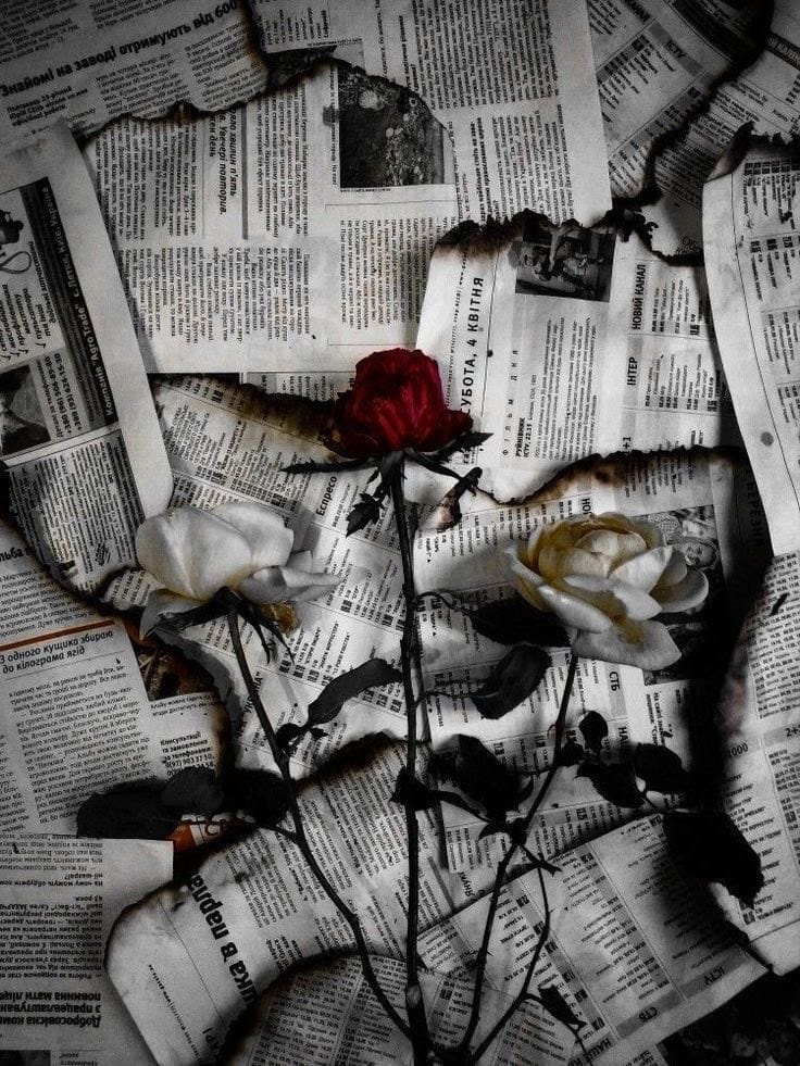 Where Roses Bleed Tonight