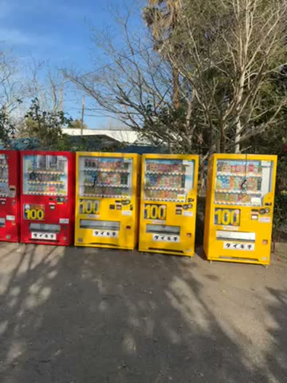 春100円自動販売機